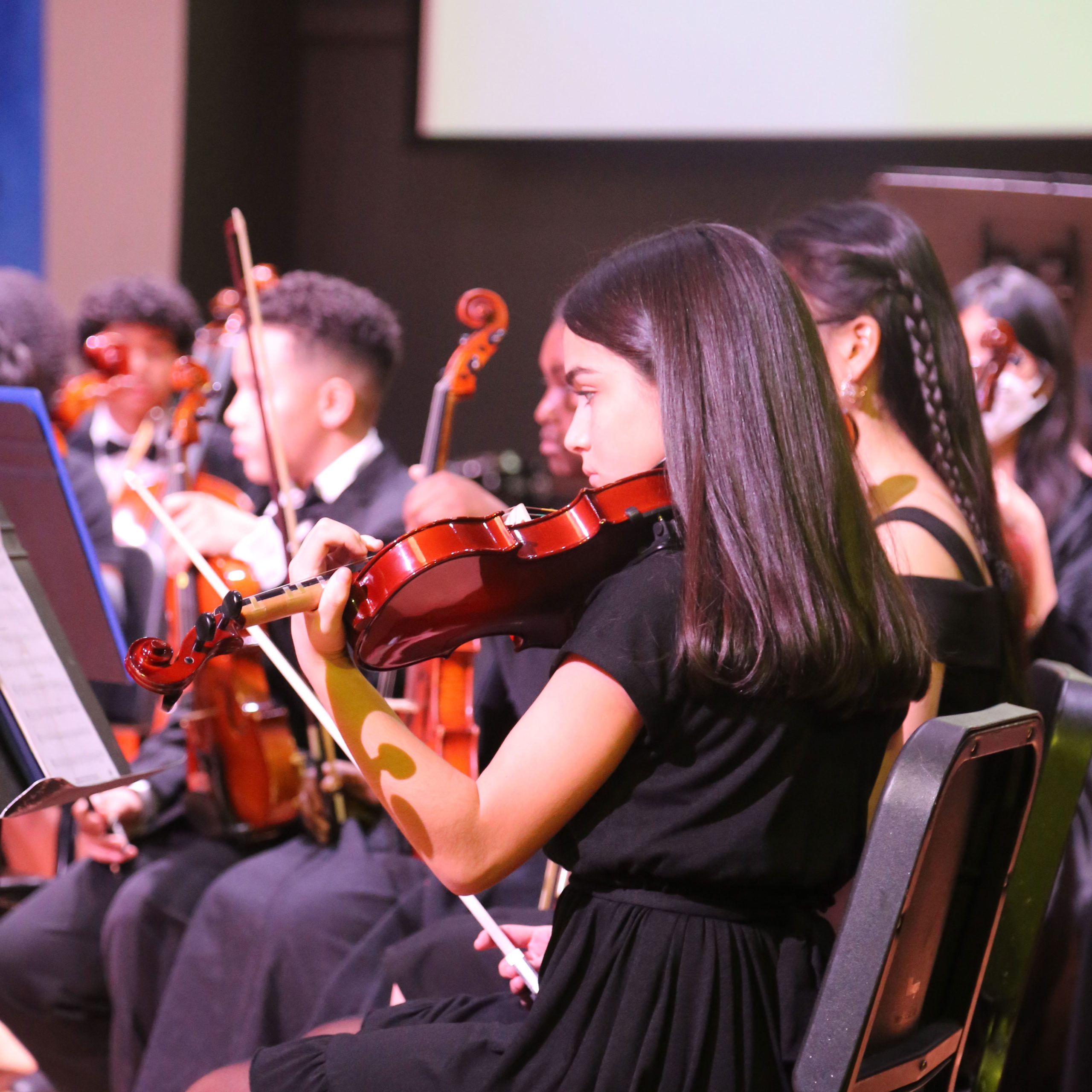 Violinest in LuHi orchestra